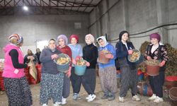 Patates işçisi kadınlar 8 Mart'ı işlerinin başında geçirdi