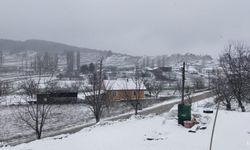 Denizli’nin yüksek kesimleri beyaza büründü