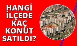 İzmir'de Şubat ayından hangi ilçede kaç konut satıldı?