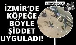 İzmir’de köpeğe hortumlu, sandalyeli ve kürekli saldırı 