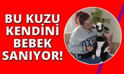  Manisa'da hasret kaldığı bebek sevgisini kuzuyla giderdi