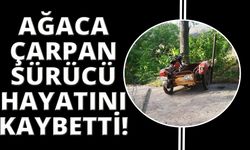 Manisa'da ağaca çarpan sepetli motosikletin sürücüsü öldü