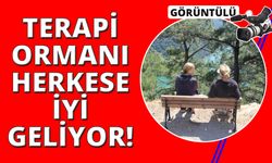 İzmir'de Terapi Ormanı 7’den 70’e herkese iyi geliyor