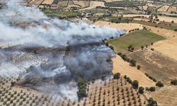 Manisa'da ekin tarlasında yangın: 35 dönüm kül oldu