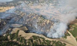 Kula’da orman yangını: 10 hektar alan küle döndü