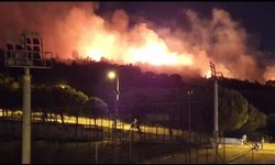  İzmir'deki orman yangını!