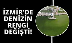 İzmir'in iki ilçesinde denizin rengi değişti, kötü koku yayıldı