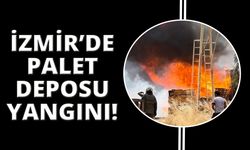  İzmir'de palet depolarında yangın: 3 iş yeri yandı