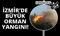 İzmir Selçuk'taki yangın havadan görüntülendi