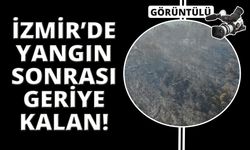 İzmir'de çıkan orman yangını sonrası son görüntü