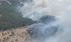 İzmir'de orman yangını: Sabuncubeli Tünelleri trafiğe kapandı