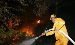 Bodrum'daki orman yangınında 100 hektar zarar gördü
