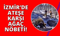 İzmir'in ateş savaşçıları ağaçlar için nöbette