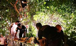 Aracın çarptığı motosiklet sürücüsü 5 metrelik ağaçta asılı kaldı