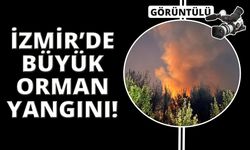 İzmir'de Buca başlayan orman yangını Gaziemir'e sıçradı