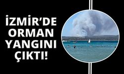 İzmir Çeşme'de orman yangın çıktı