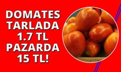 Domates tarlada 1,7 TL pazarda 15 TL