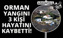 İzmir'de orman yangını: 3 kişi hayatını kaybetti!