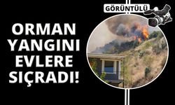 Manisa'da orman yangını evlere sıçradı