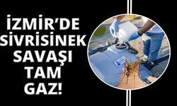 İzmir’de sivrisinekle havadan ve karadan mücadele sürüyor