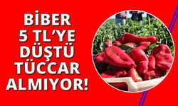 İzmir'de tüccar alımı durdurdu tonlarca biber elde kaldı