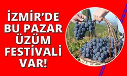 Kavacık Üzüm Festivali kapılarını 12. kez açıyor