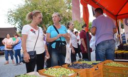 Didim Zeytin Festivali başladı