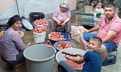 Manisa'da evlerde nar ekşisi yapımına başlandı