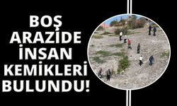 Boş arazide insan kemikleri bulundu