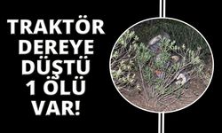 Traktör dereye yuvarlandı:1 ölü