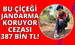 Sultan Çiğdemi, jandarma koruması altında