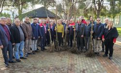 Hastalıklara dayanıklı kestane fidanları üreticilere dağıtıldı