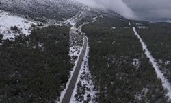 Yılanlı Dağı'nın kış manzarası mest etti