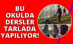 Bu okulda dersler tarlada işleniyor