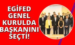 Alp Avni Yelkenbiçer EGİFED başkanlığına seçildi