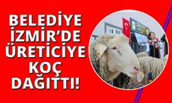 İzmir'de ilçe belediyesi üreticilere koç desteği