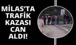 Milas'ta trafik kazası can aldı