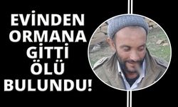 Kütahya'da ormana giden adam ölü bulundu