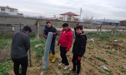 Tarım öğrencileri 200 zeytin fidanı dikti