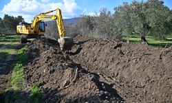 Manisa'da tarım arazileri koruma altında