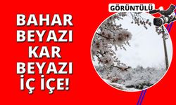 Ege'de bahar beyazına kar beyazı karıştı