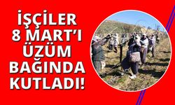 Manisa'da Kadınlar Günü'nü üzüm bağında kutladılar