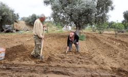 Mutluluğu toprakta buldular