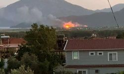 Köyceğiz’de sazlık alanda yangın çıktı