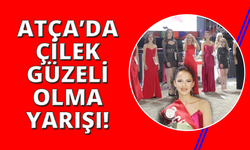 Sultanhisar’da ‘Çilek Güzeli’ belli oldu