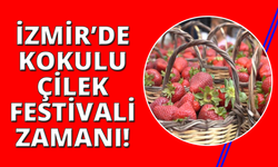 İzmir'de çilek festivali var