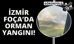 İzmir Foça'da tarım arazisinde başlayan yangın ormana sıçradı