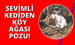 İşçiler çalıştı, o keyfini bozmadı, köyün ağası gibi poz verdi