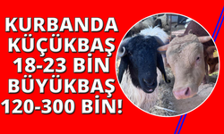 İzmir'de canlı hayvan pazarlarında kurban hareketliliği