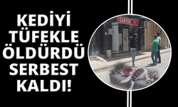 Kediyi pompalı tüfekle vurdu serbest kaldı